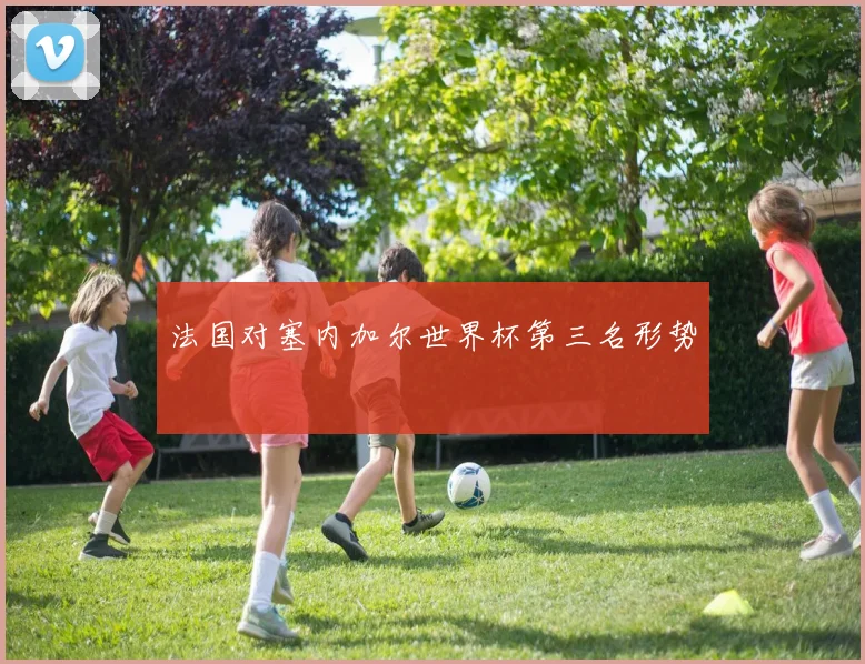 法国对塞内加尔世界杯第三名形势