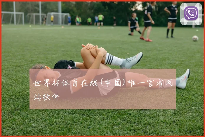 世界杯体育在线(中国)唯一官方网站软件