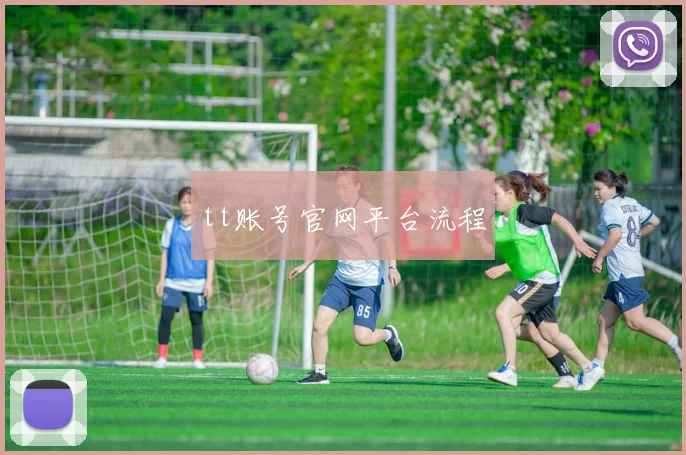 tt账号官网平台流程