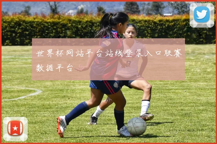 世界杯网站平台站线登录入口联赛数据平台