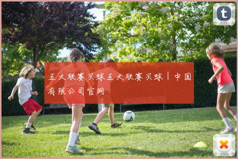 五大联赛买球五大联赛买球｜中国有限公司官网
