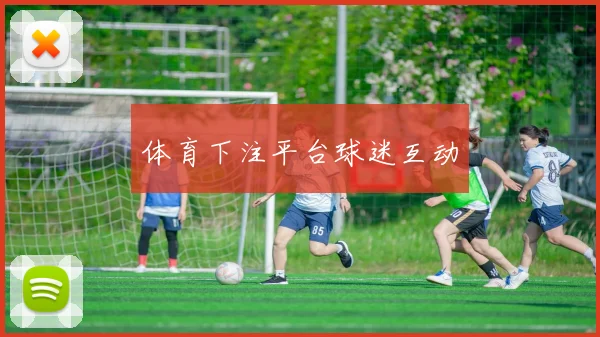体育下注平台球迷互动
