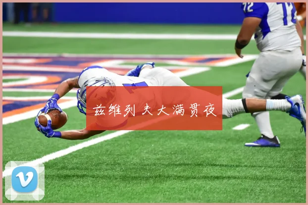 兹维列夫大满贯夜