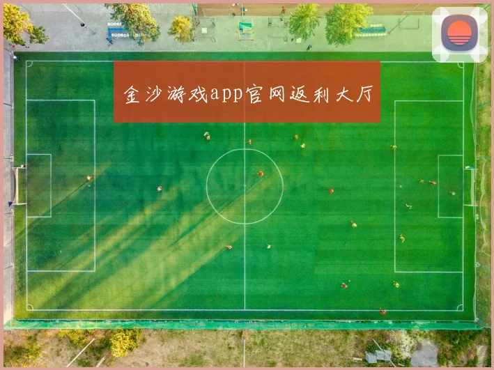 金沙游戏app官网返利大厅