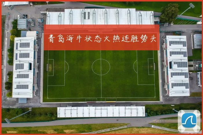 青岛海牛状态火热连胜势头
