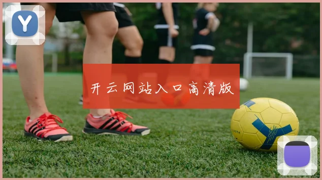 开云网站入口高清版