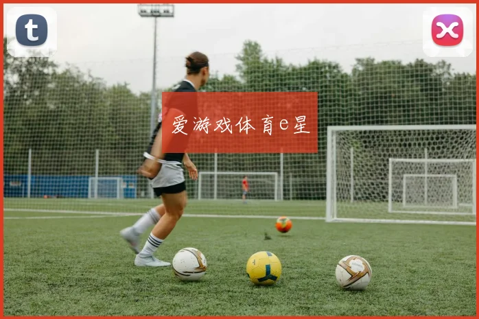 爱游戏体育e星