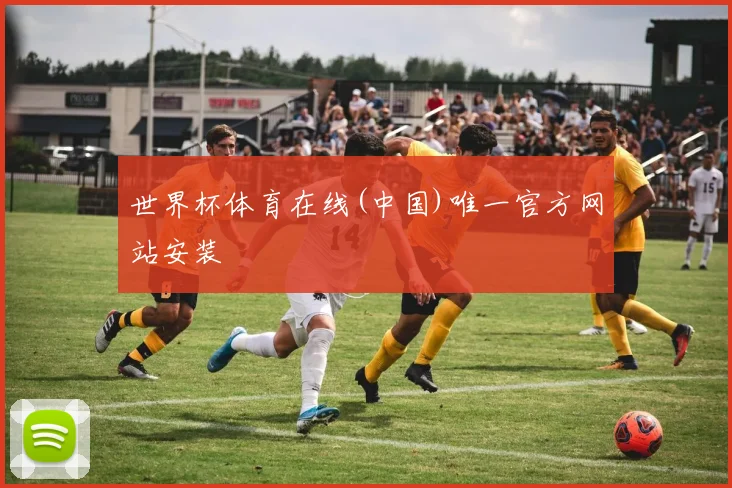 世界杯体育在线(中国)唯一官方网站安装