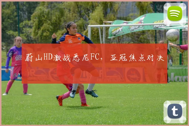 蔚山HD激战悉尼FC，亚冠焦点对决