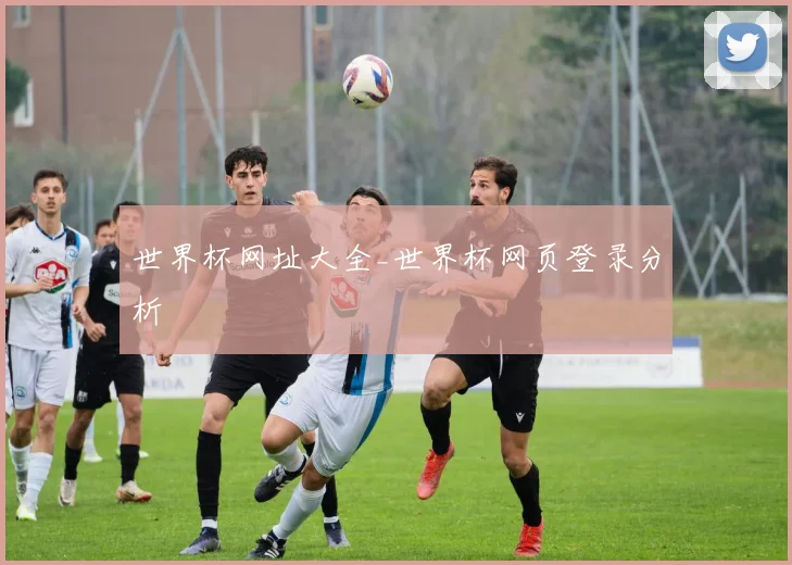 世界杯网址大全_世界杯网页登录分析