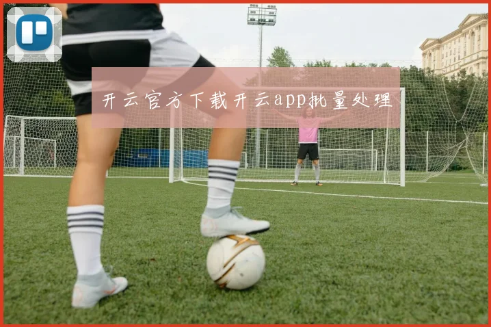 开云官方下载开云app批量处理
