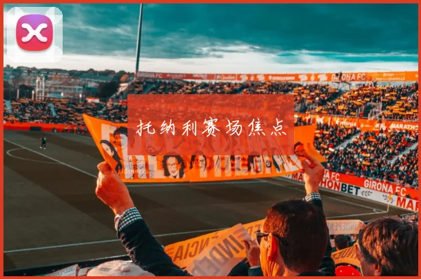 托纳利赛场焦点