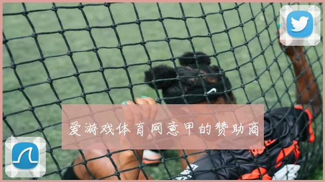 爱游戏体育网意甲的赞助商