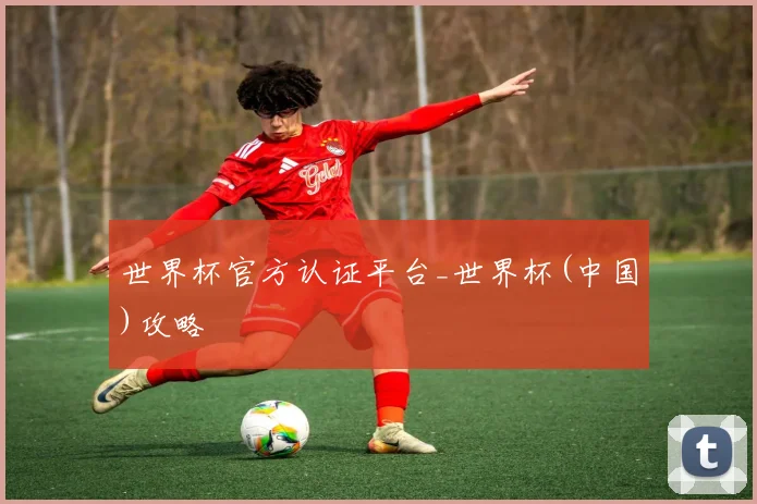世界杯官方认证平台_世界杯(中国)攻略