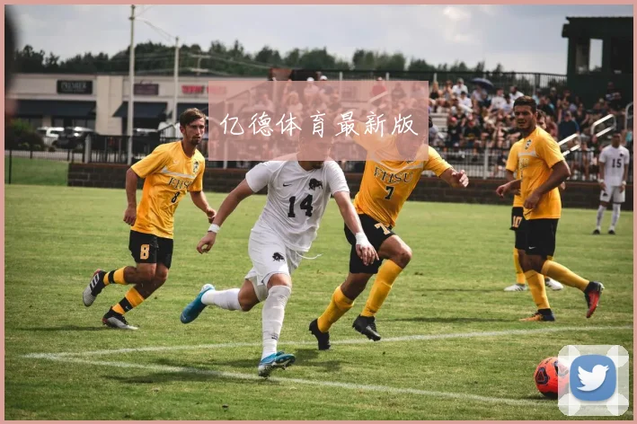 亿德体育最新版