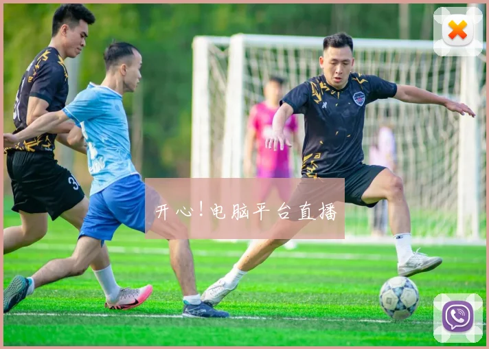 开心!电脑平台直播