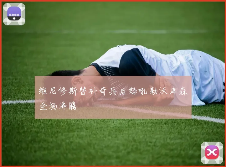 维尼修斯替补奇兵后怒吼勒沃库森全场沸腾