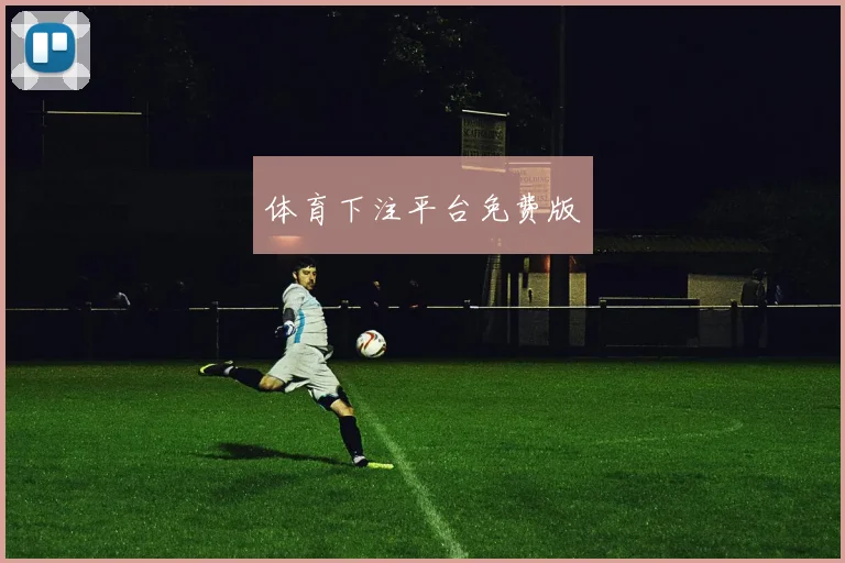 体育下注平台免费版