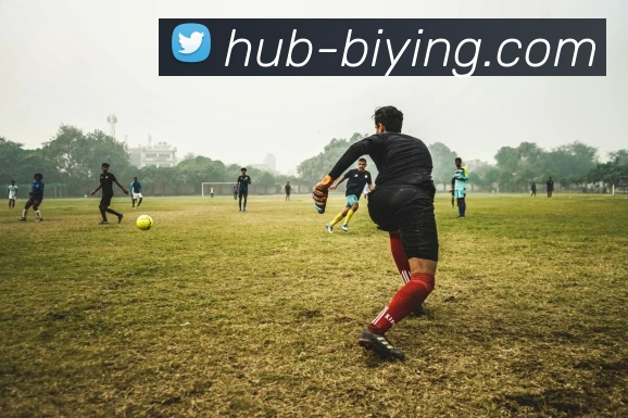 必赢体育（中国）官网入口-BwinSports-用创新打造体验平台生态图