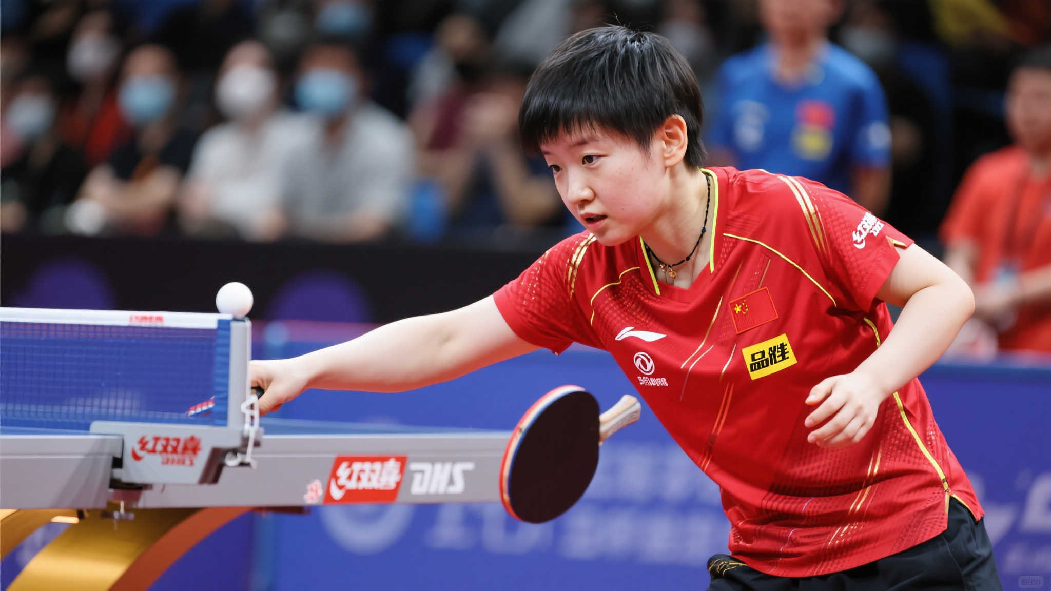 韩国队已经 韩国队已经