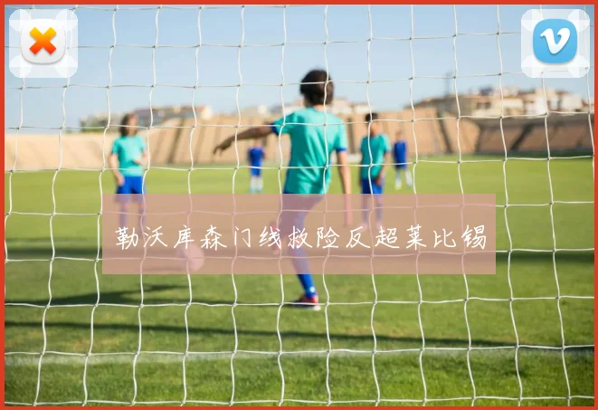 勒沃库森门线救险反超莱比锡