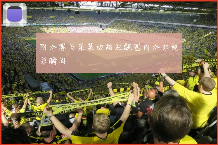 附加赛马莱莱边路狂飙塞内加尔绝杀瞬间