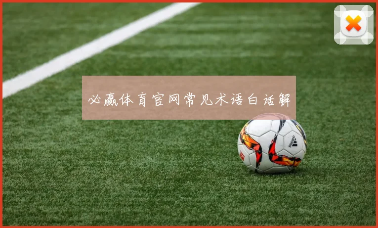 必赢体育官网常见术语白话解