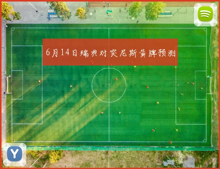 6月14日瑞典对突尼斯黄牌预测