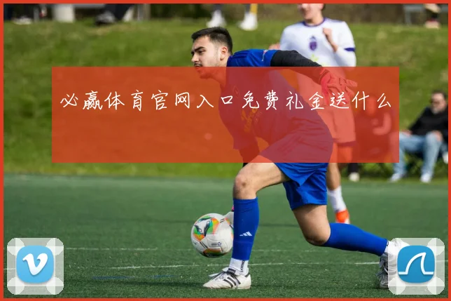 必赢体育官网入口免费礼金送什么