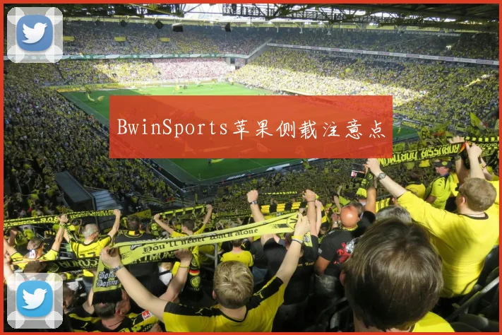 BwinSports苹果侧载注意点