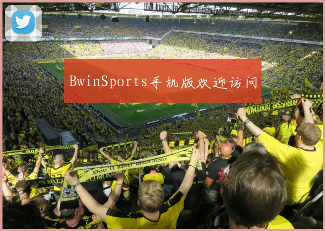 BwinSports手机版欢迎访问